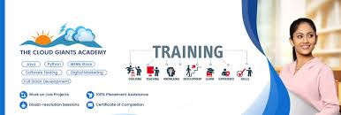 The Cloud Giants Academy
