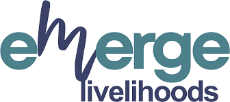 Emerge Learning Services Pvt Ltd
