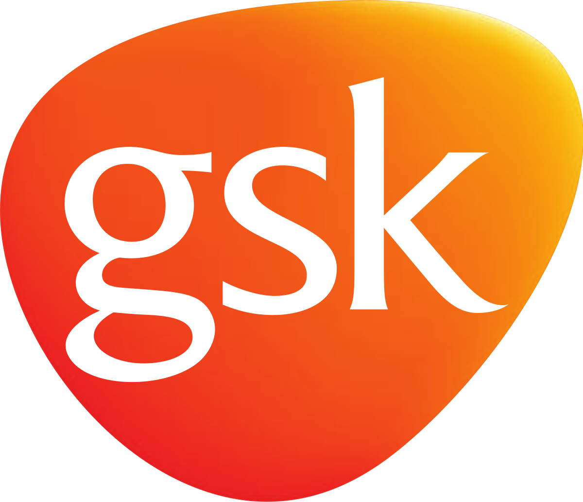 Gsk Aviation Academy
