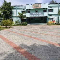 Nobel Vid. Nps, Harvipatti