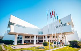  DELHI PUBLIC SCHOOL,ELECTRONIC CITY,BENGALURU