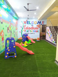 Caladium Playschool