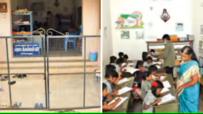 Pups, Vankinarayanapuram