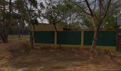 Sri Amman Nur&primary