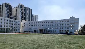 Cambridge International School