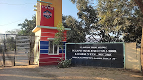  TWEMRS YELLAREDDYPET DUMALA VILLAGE