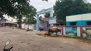 Pups Paramasivamapalayam