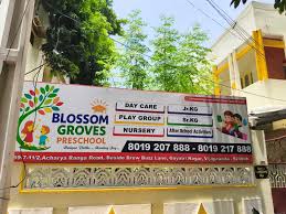 Blossoms International Play School - BIPS Vijayawada
