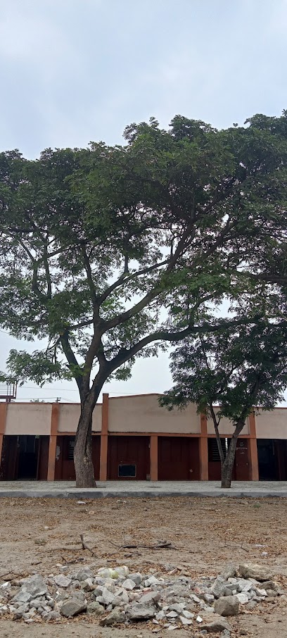 Pups Vilankurichi
