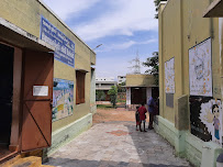 Pups Kasipalayam