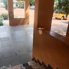 Pups M.anna Nagar